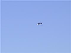 PICT2046.JPG